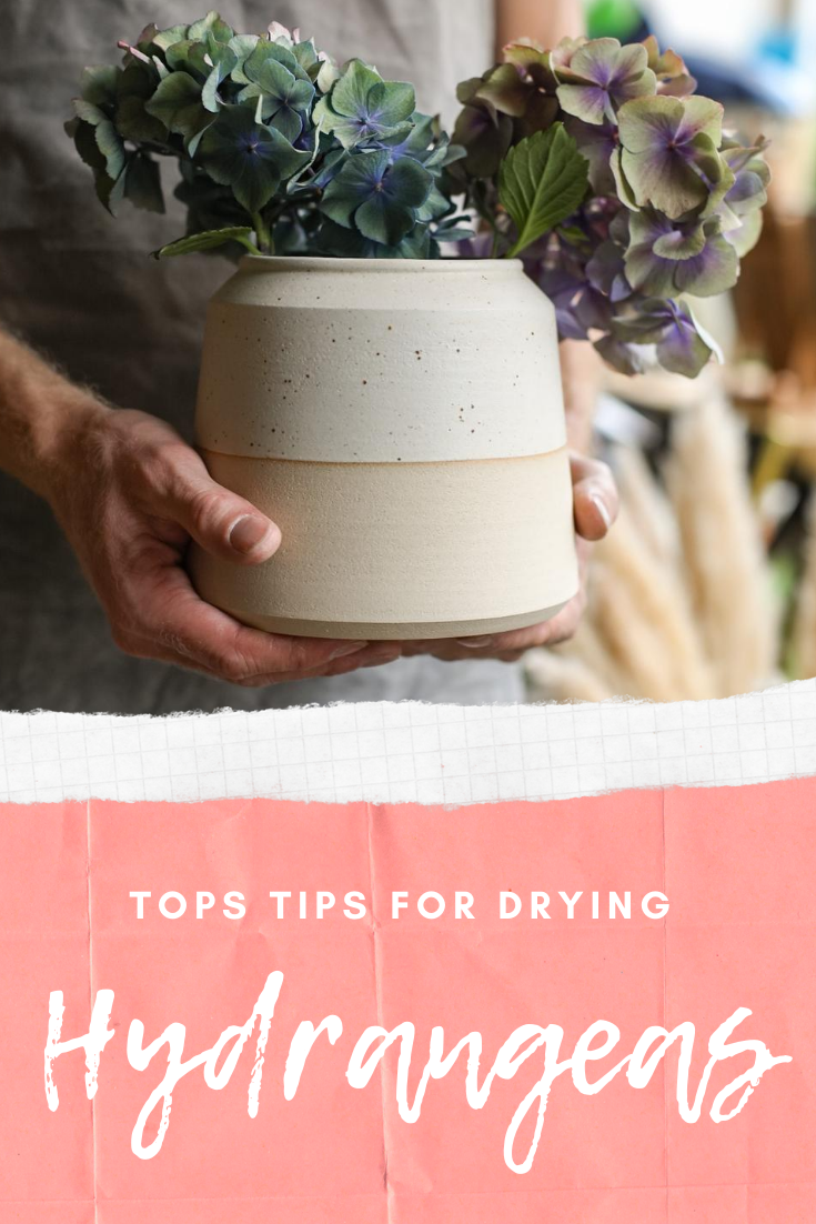 How To Dry Hydrangea Blooms