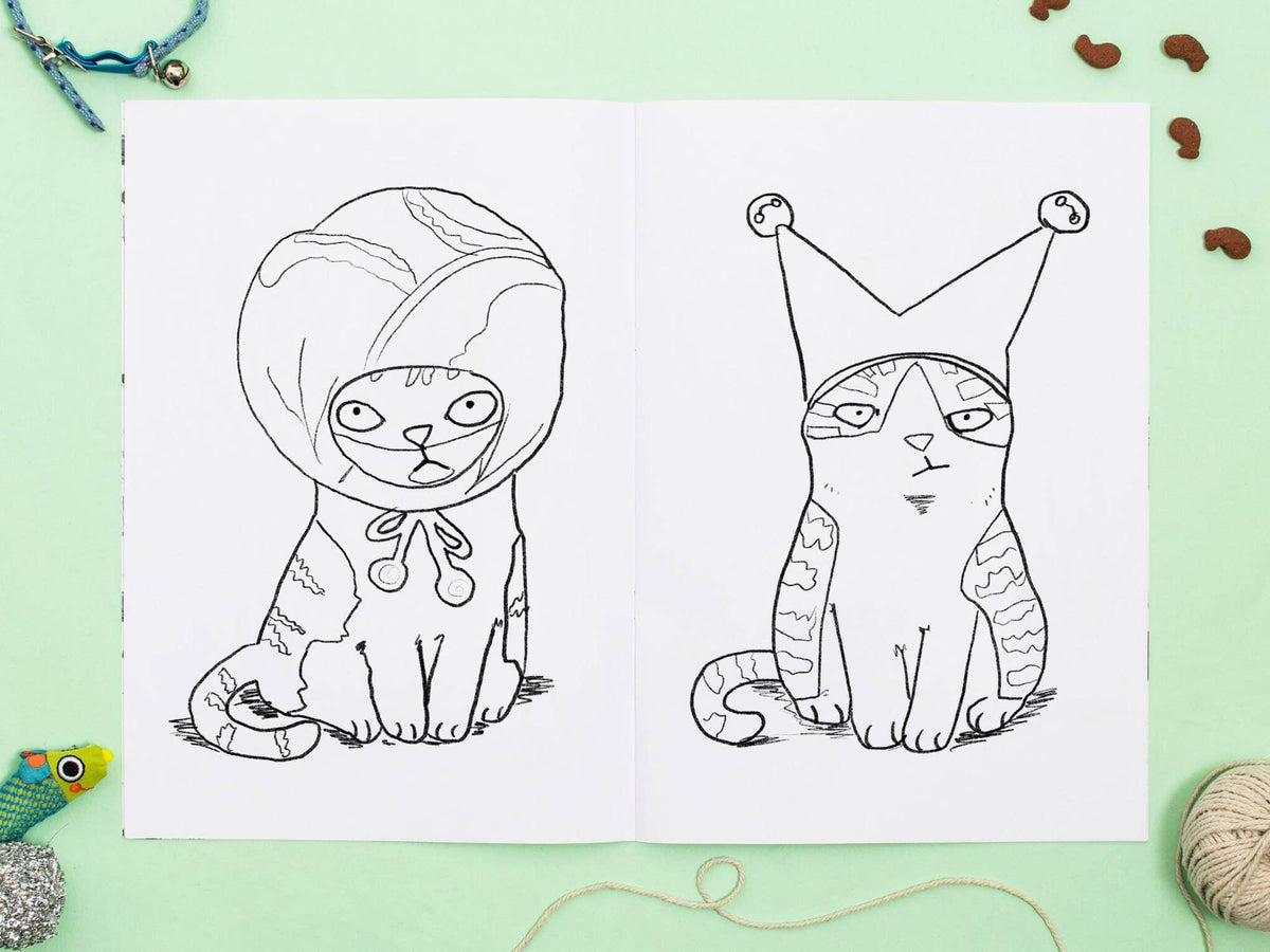 Cats In Christmas Hats Colouring Book