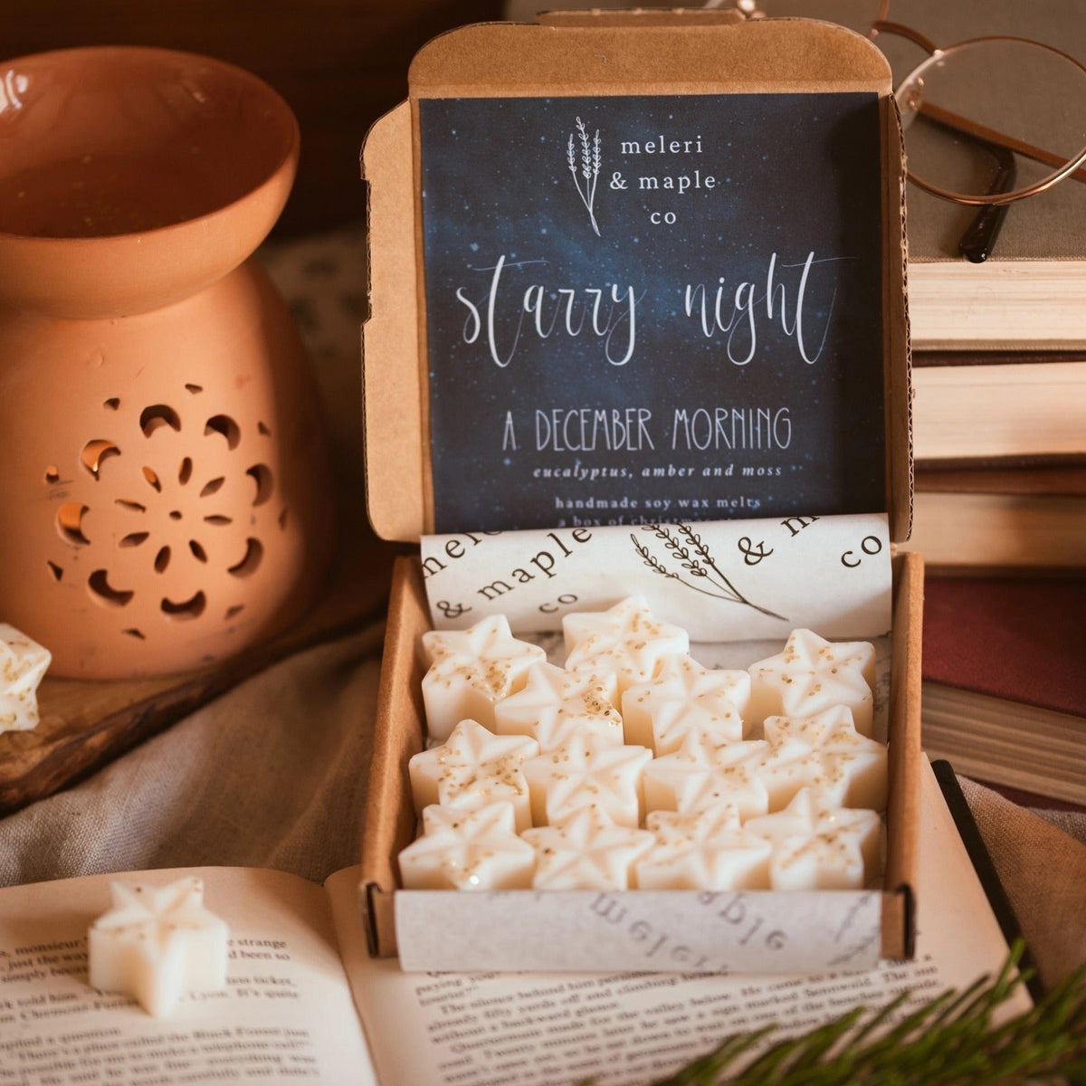 Starry Night - A Box of Christmas Star Wax Melts