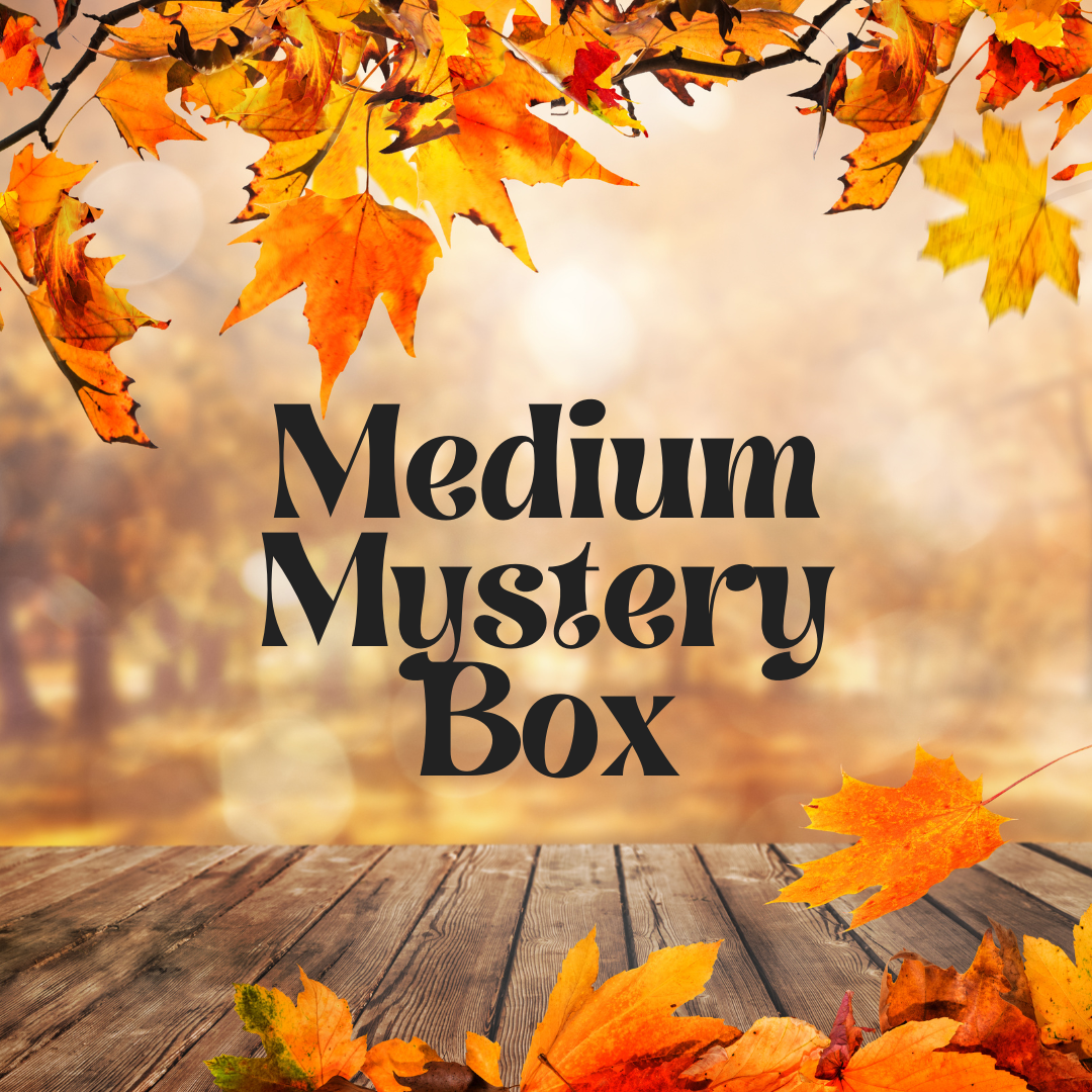Mystery Autumn Box Medium