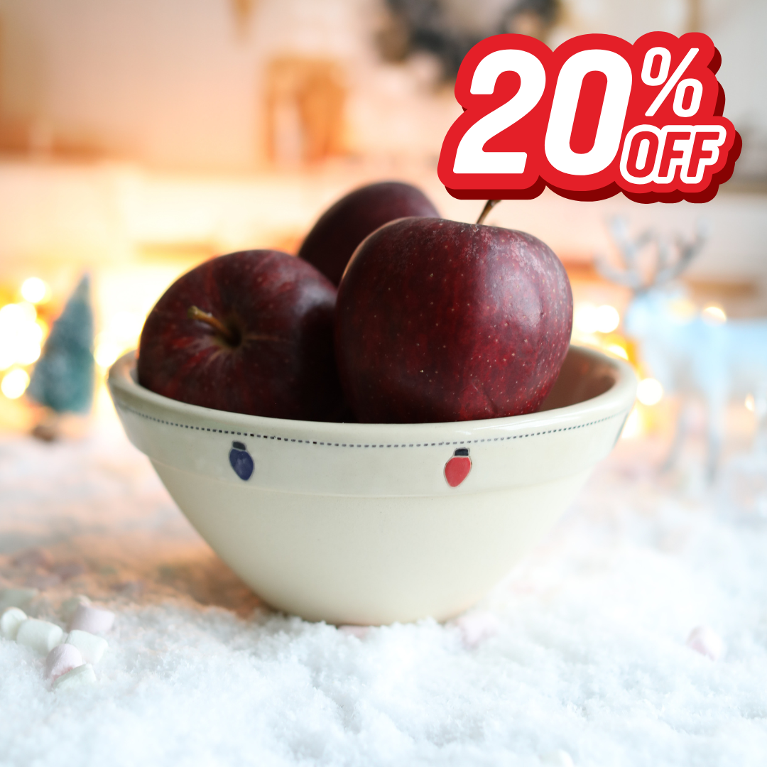 Ceramic Christmas Lights Bowl