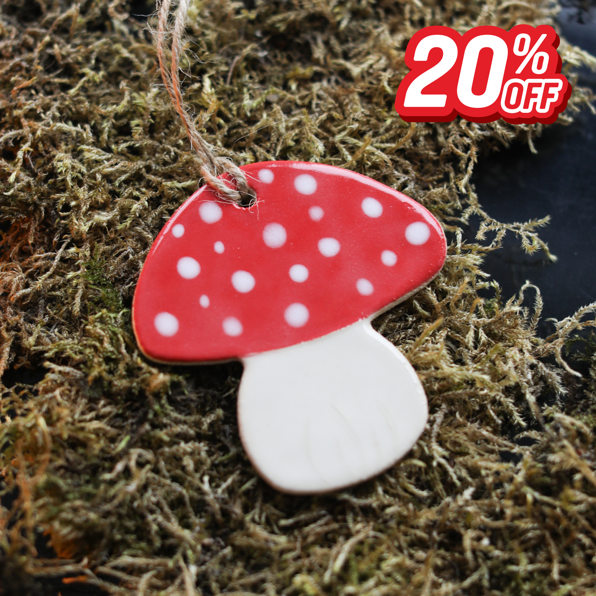 Ceramic Mushroom Decoration