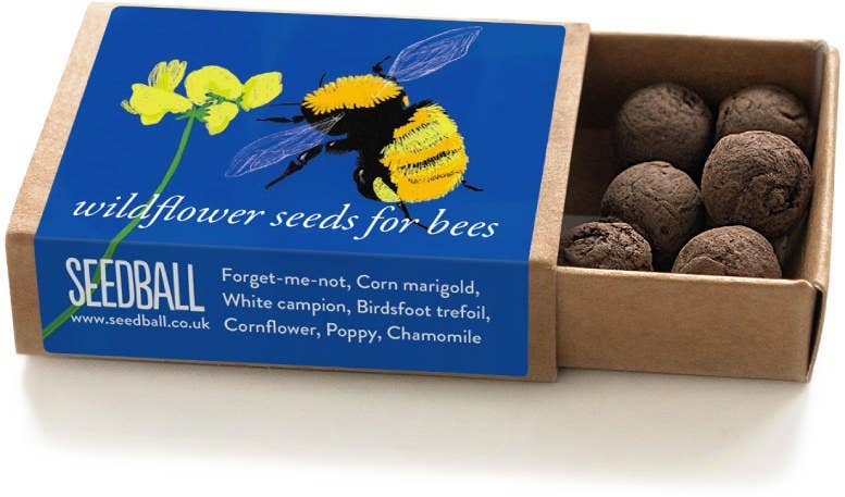Bumblebee Wildflower Seedballs