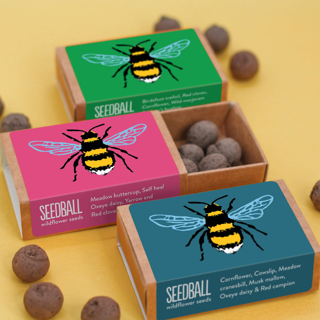 Bee Wildflower Seedball Box