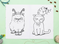 Cats In Christmas Hats Colouring Book