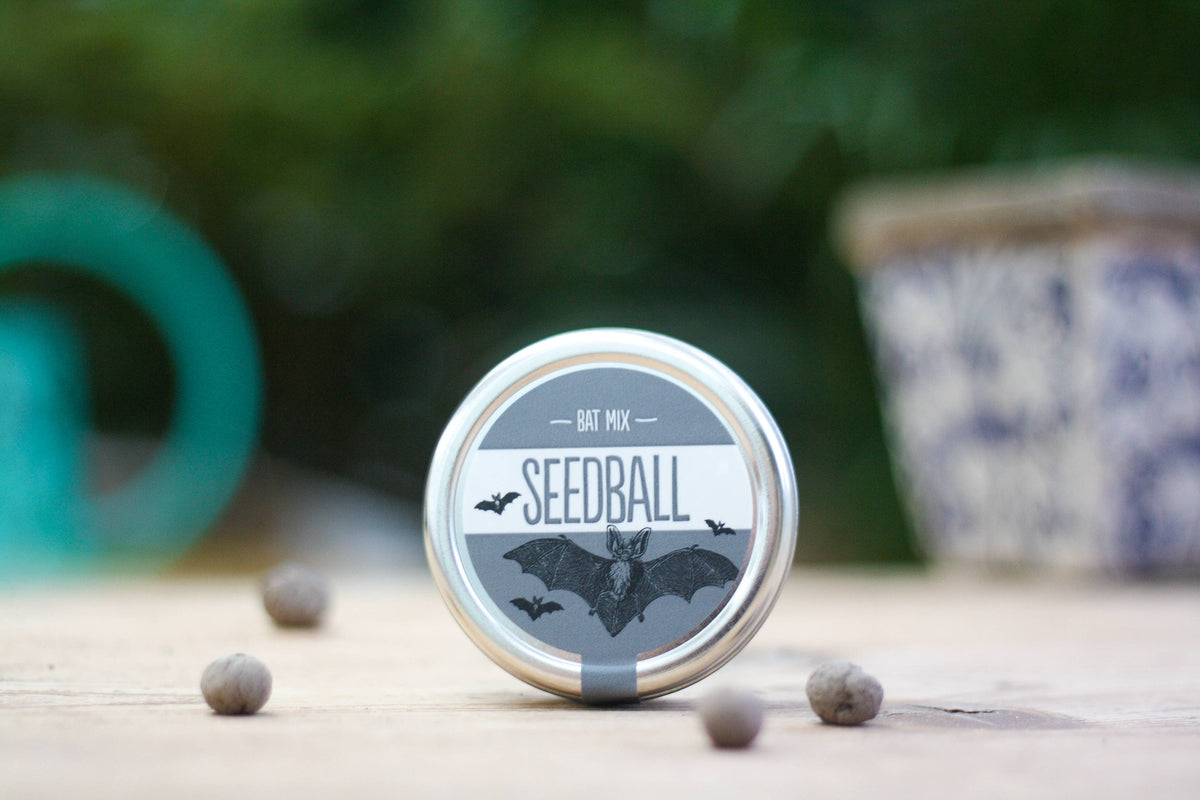 Bat Mix Seedball Tin