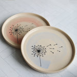 ceramic plates from Glosters.