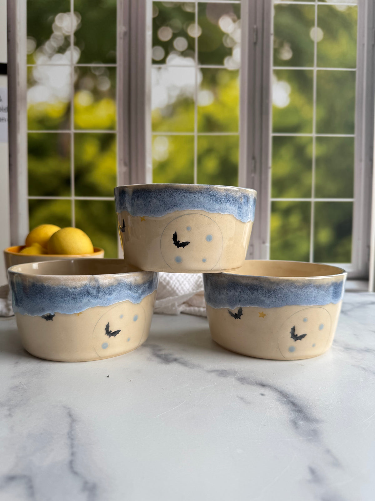 Pottery club seconds
