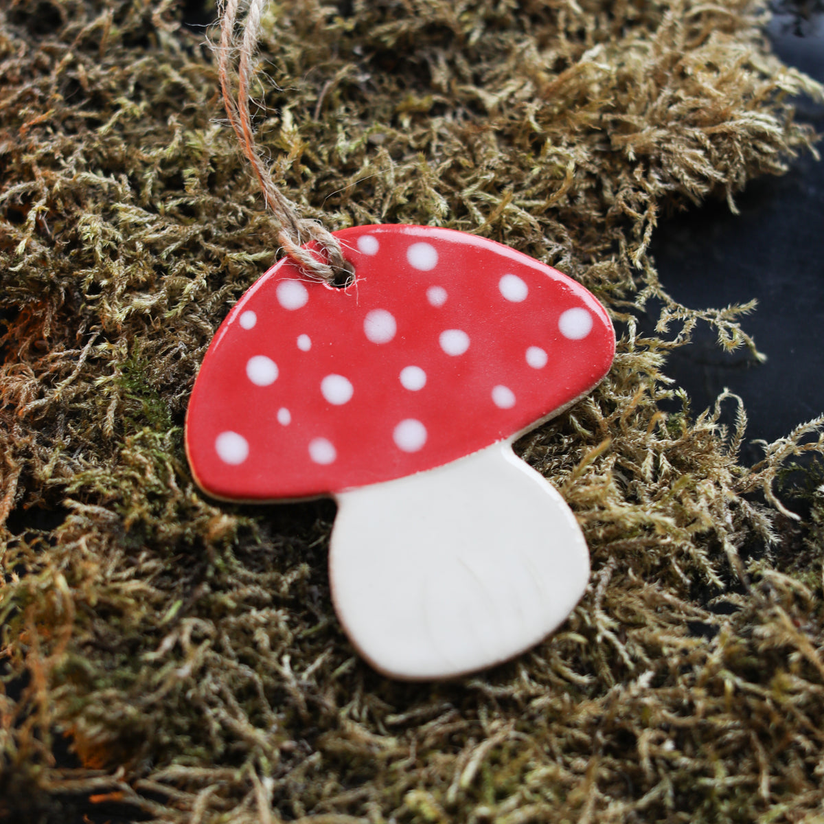 Ceramic Mushroom Decoration