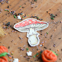 Mev’s Autumn Treat Box