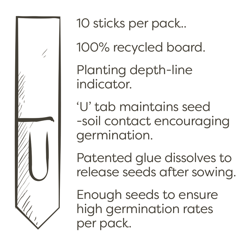 Christmas Tree Seedsticks®