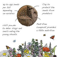 how the Herb Mix Seedball Tin from Glosters works
