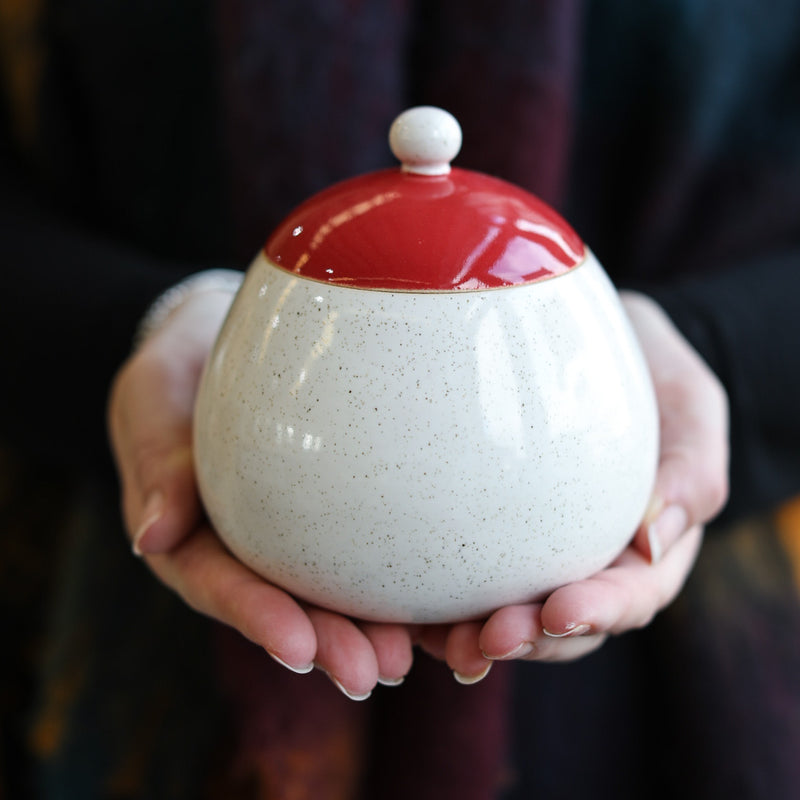 Father Christmas Mini Pot