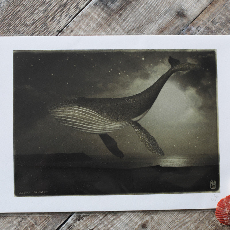 Night Whale print